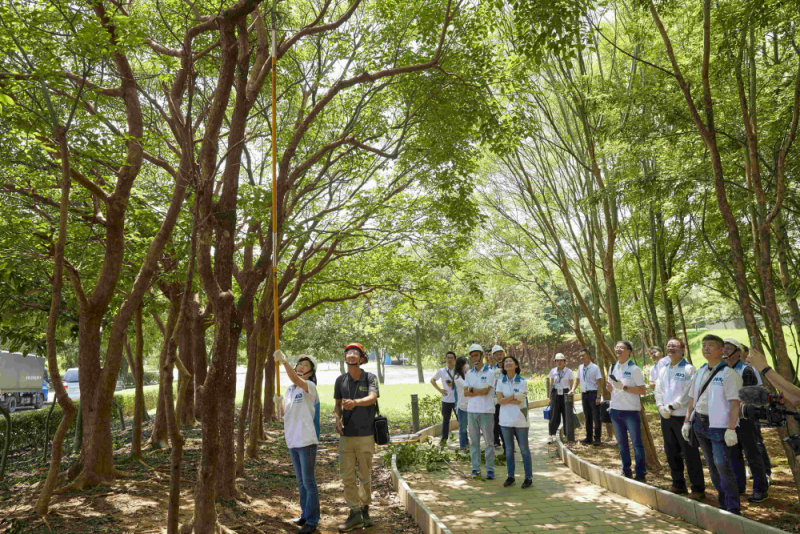 藝師教導大家認識樹木、檢查樹的健康狀況，學習修枝及碎枝覆土